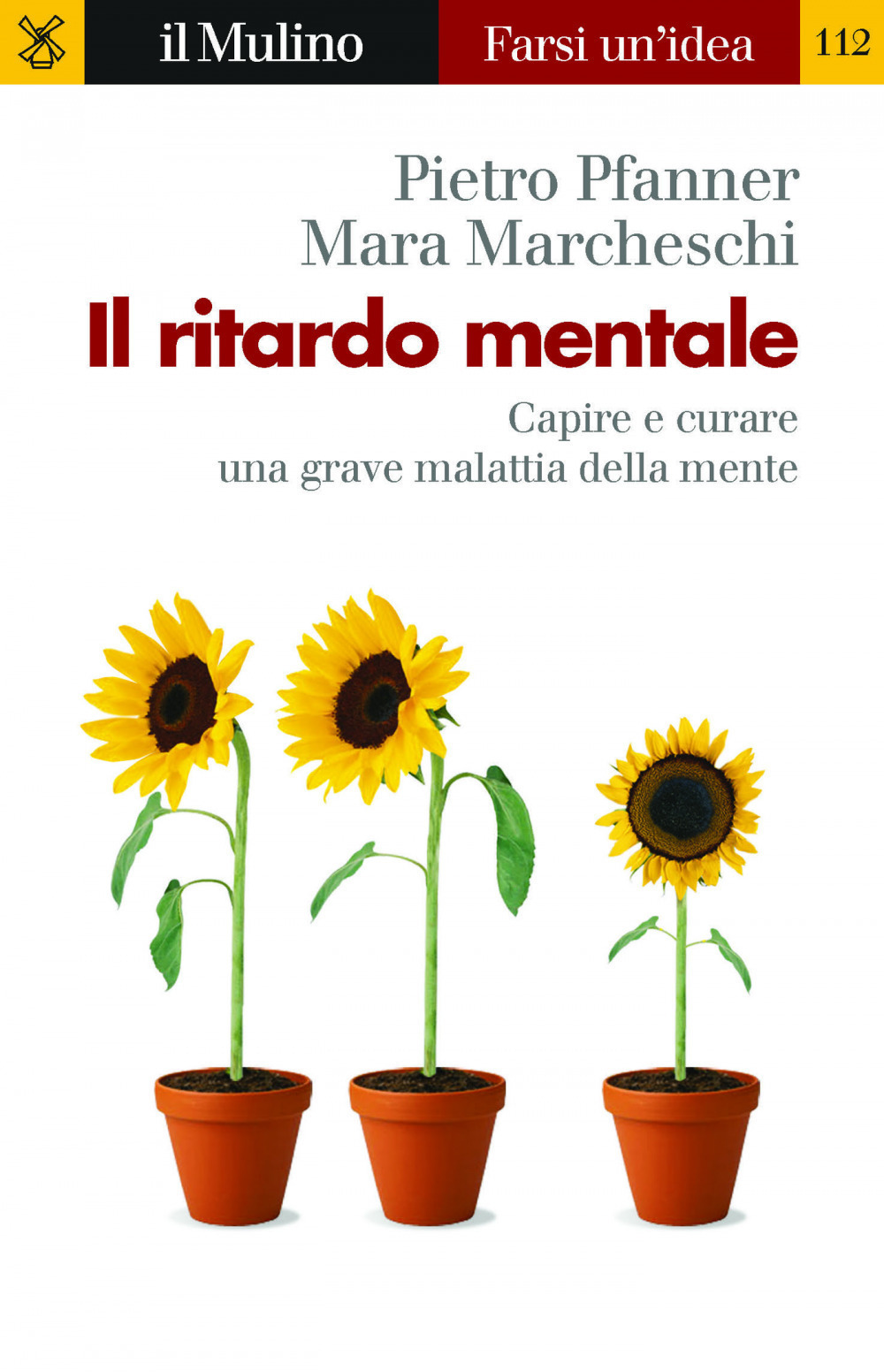 Il ritardo mentale. Capire e curare una grave malattia della mente