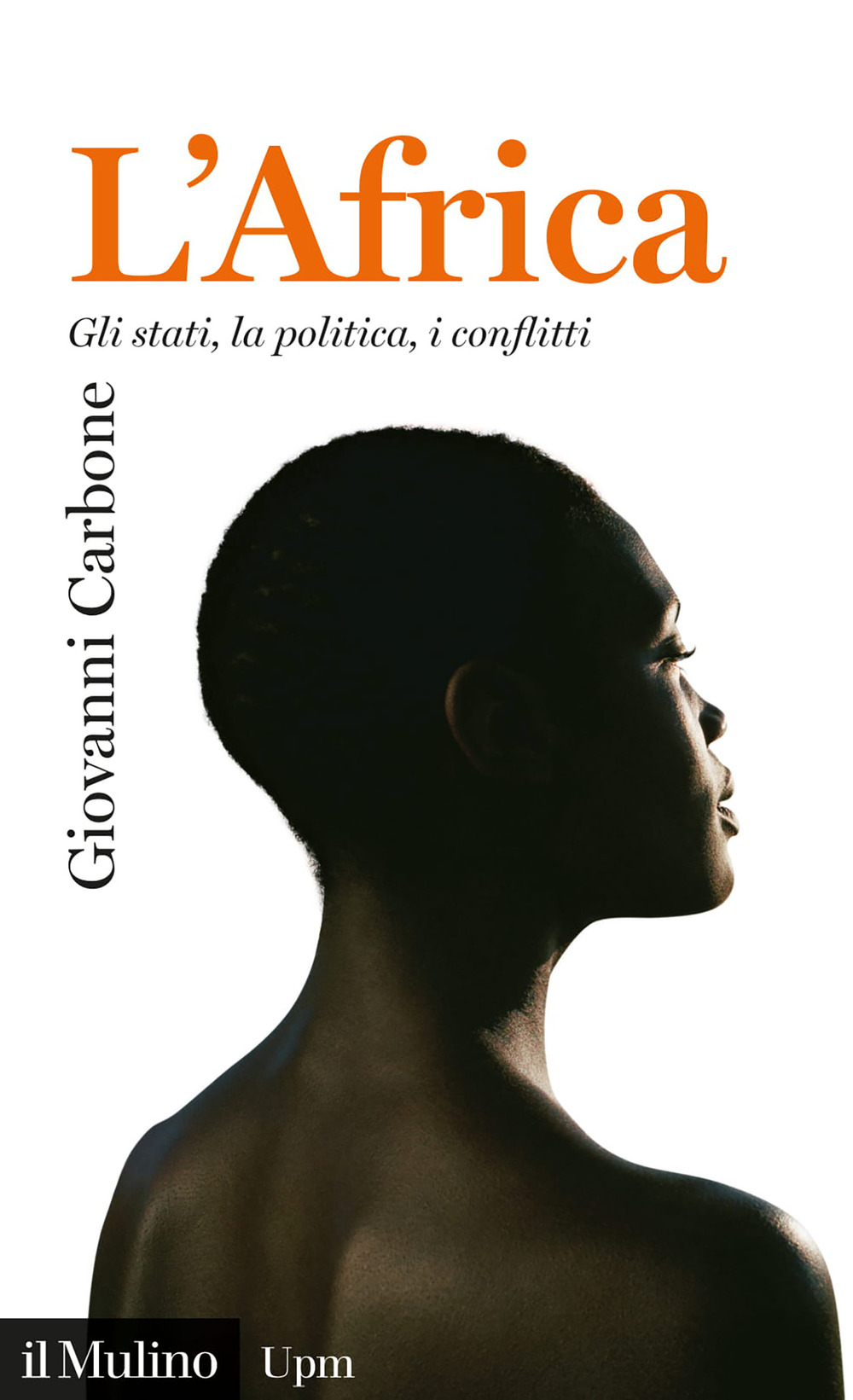 L'Africa. Gli stati, la politica, i conflitti