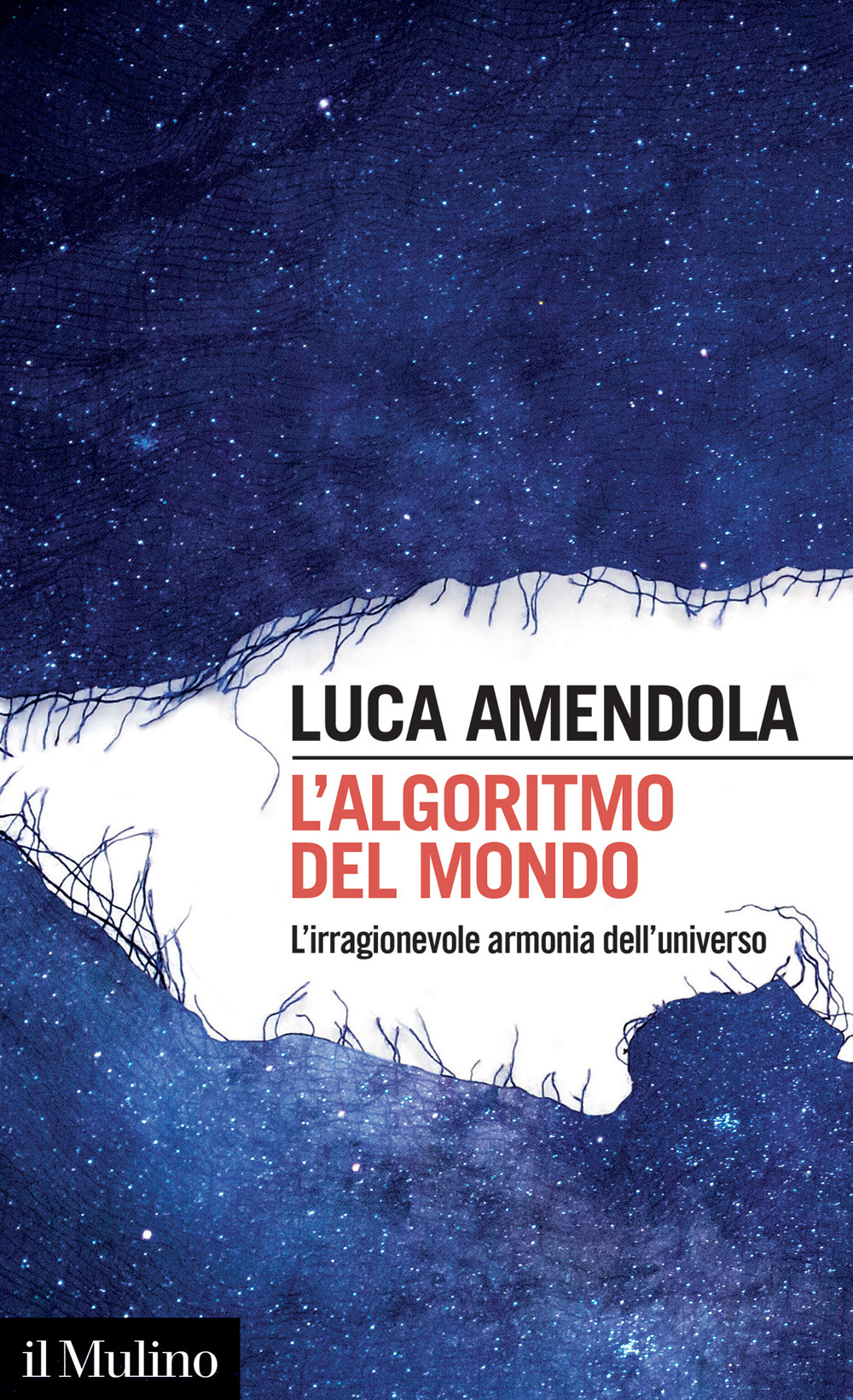 L'algoritmo del mondo. L'irragionevole armonia dell'universo