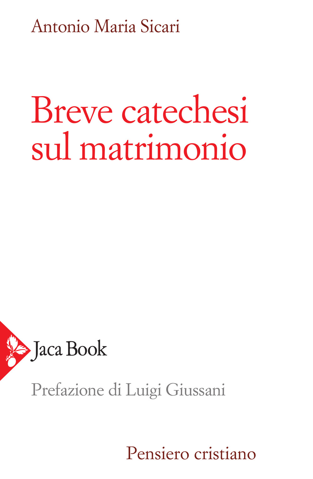 Breve catechesi sul matrimonio