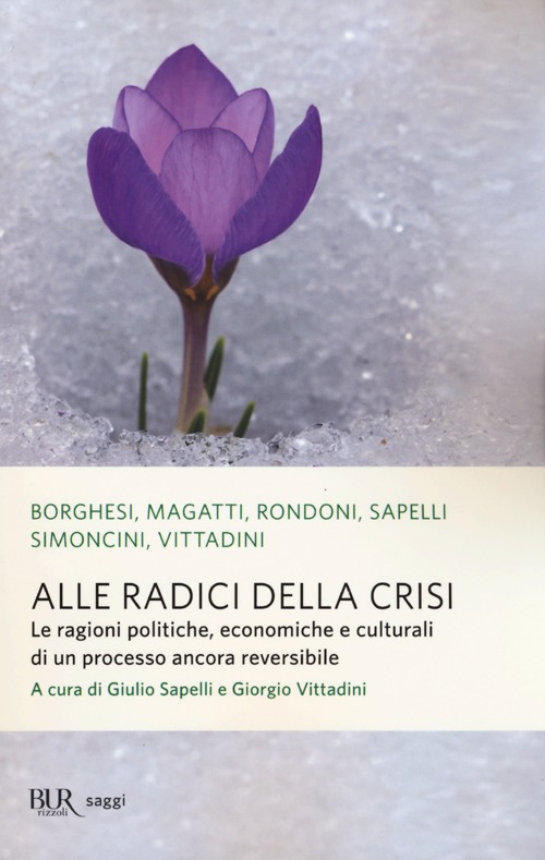 Alle radici della crisi. Le ragioni politiche, economiche e culturali di un processo ancora reversibile