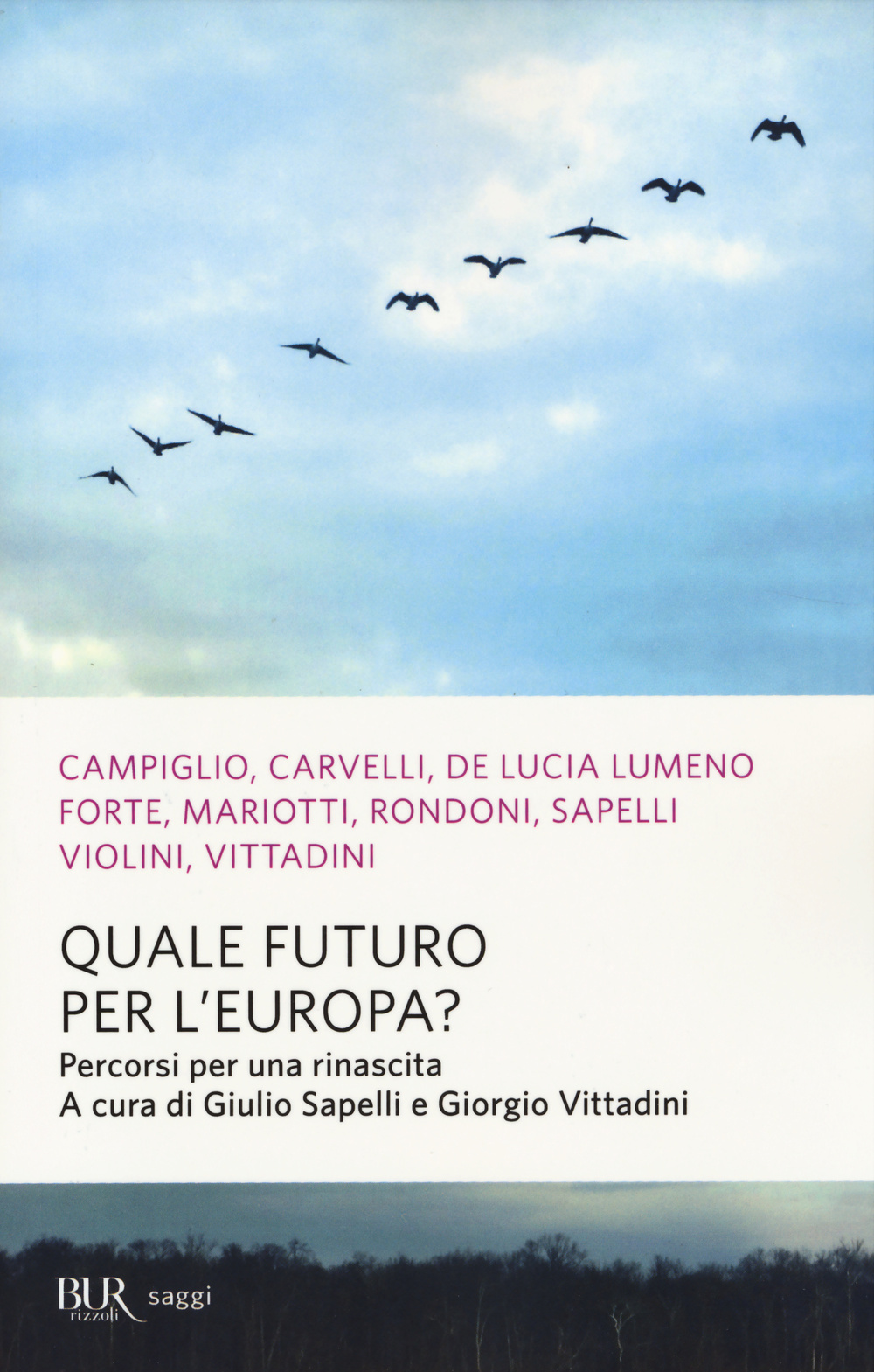 Quale futuro per l'Europa? Percorsi per una rinascita