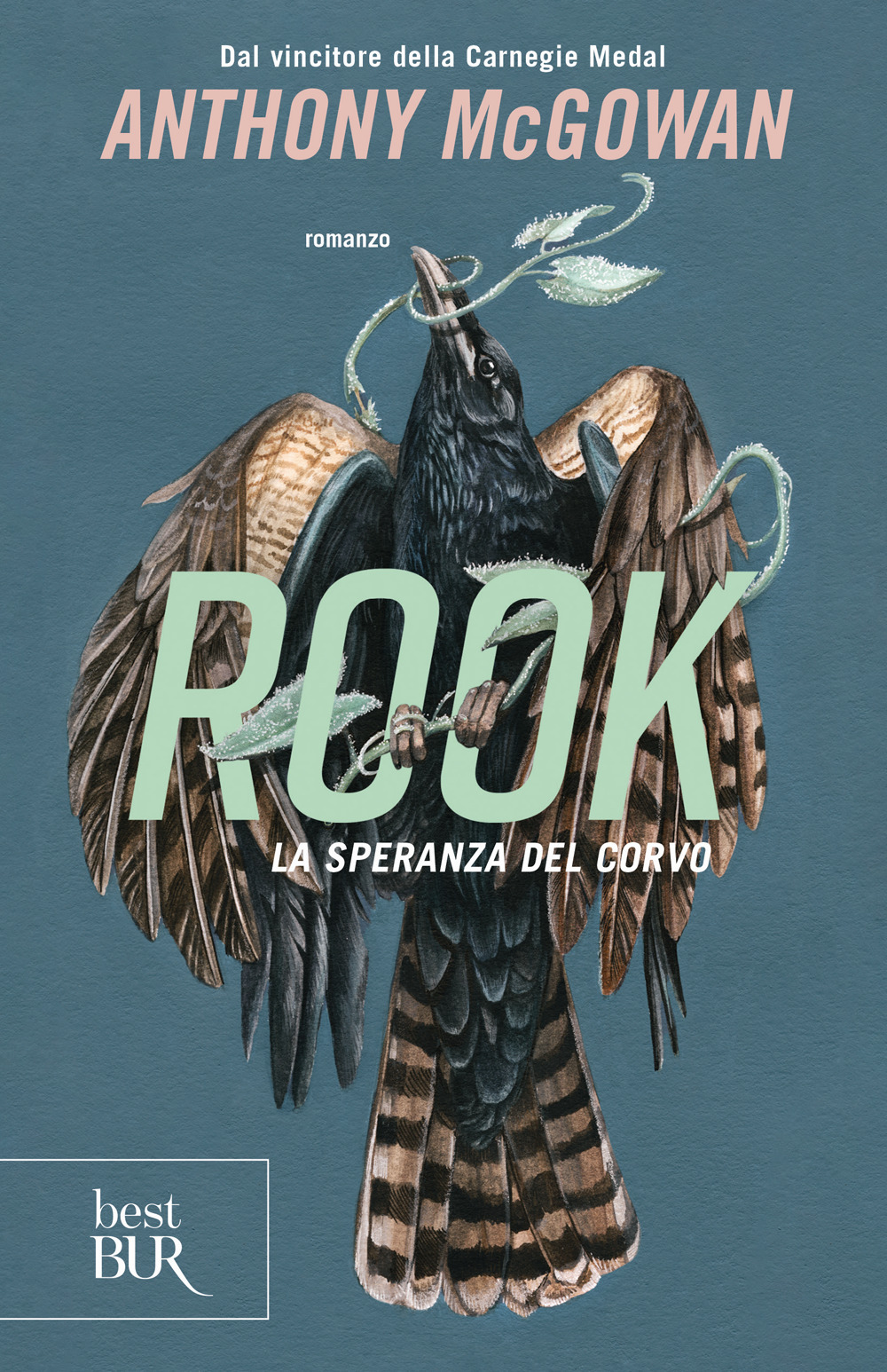 Rook. La speranza del corvo