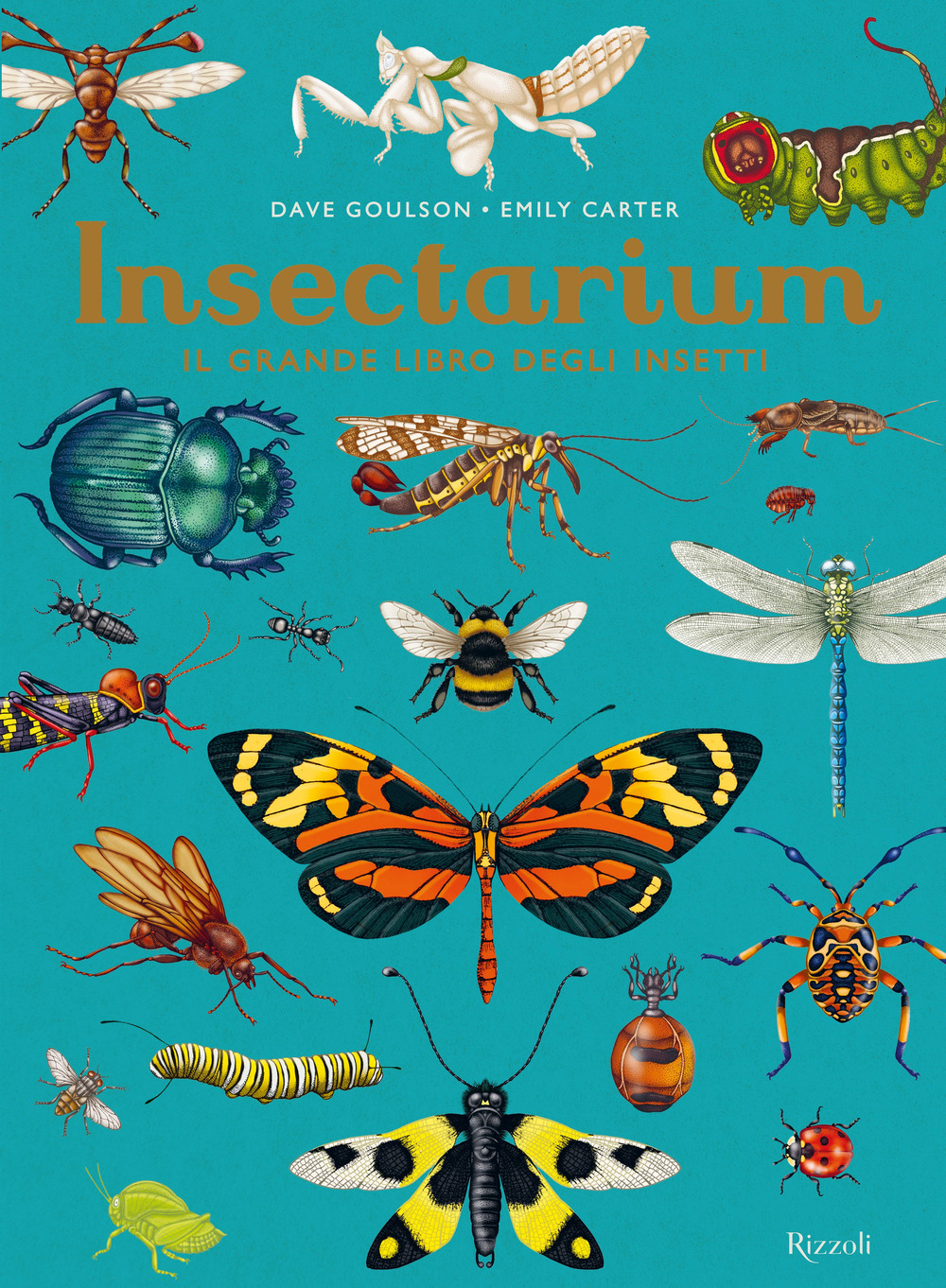 Insectarium. Il grande libro degli insetti. Ediz. a colori