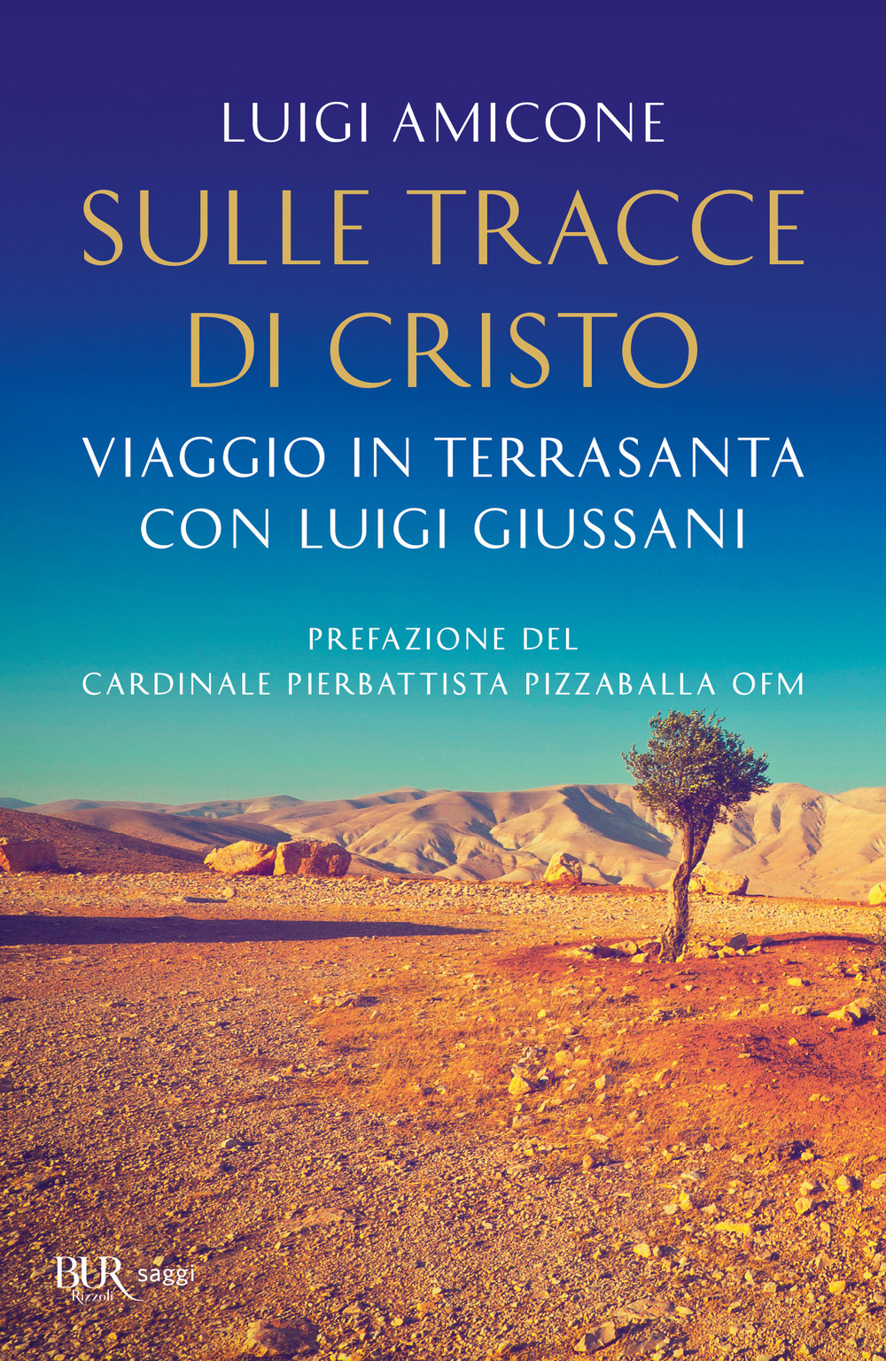 Sulle tracce di Cristo. Viaggio in Terrasanta con Luigi Giussani. Nuova ediz.