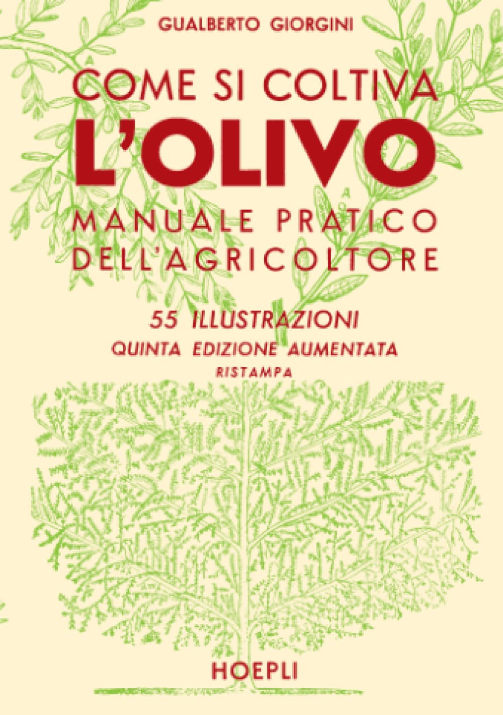 Come si coltiva l'olivo