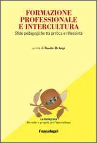 Formazione professionale e intercultura. Sfide pedagogiche tra pratica e riflessività