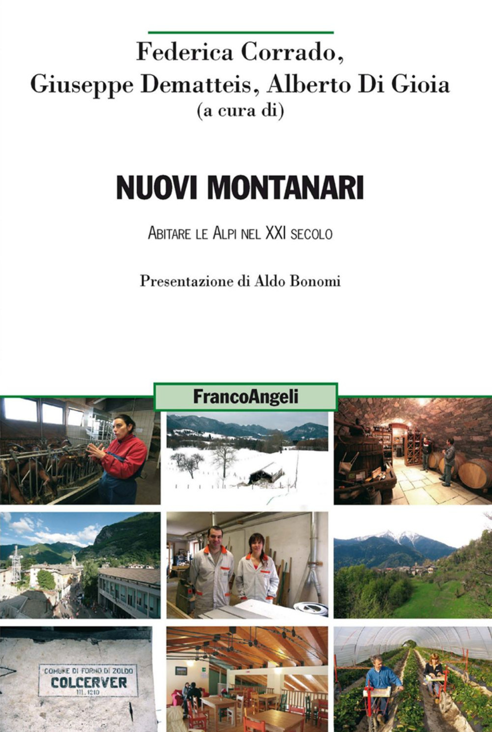 Nuovi montanari. Abitare le Alpi nel XXI secolo