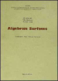 Algebraic surfaces