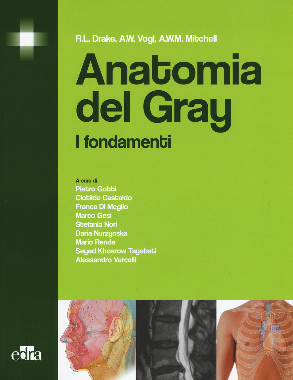 Anatomia del Gray. I fondamenti