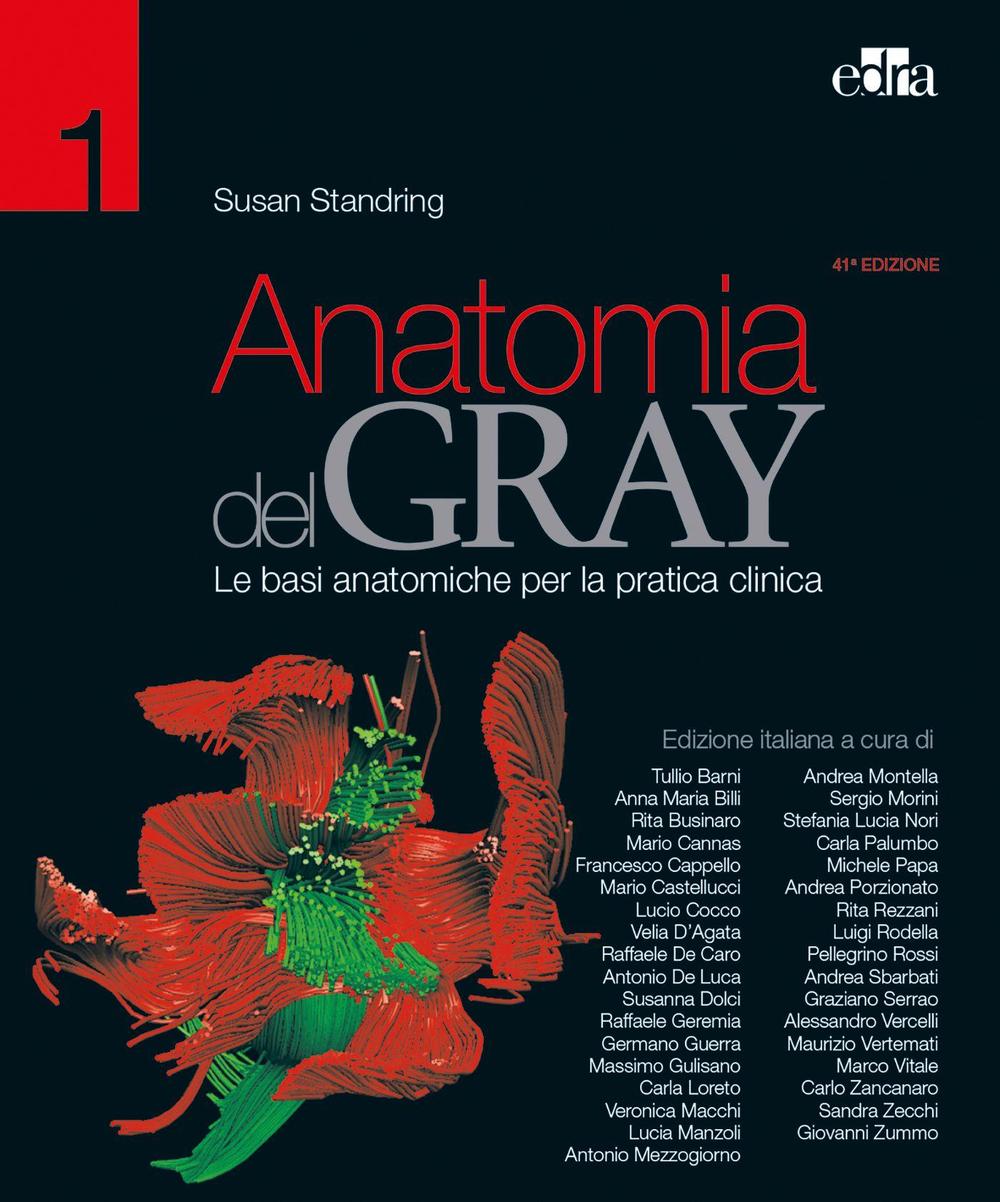 Anatomia del Gray. Le basi anatomiche per la pratica clinica. Vol. 1-2