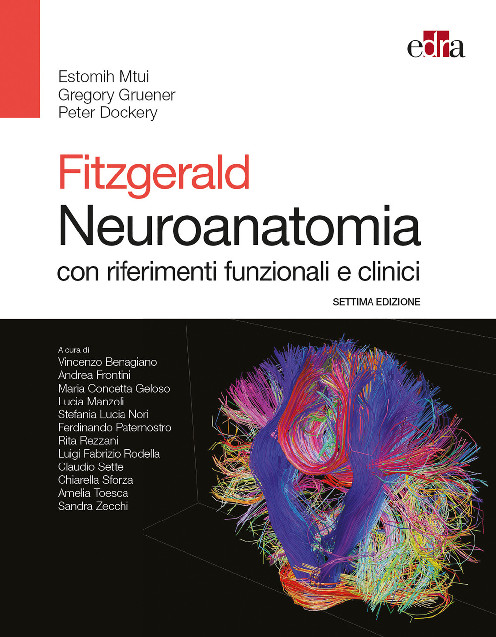 Fitzgerald. Neuroanatomia con riferimenti funzionali e clinici