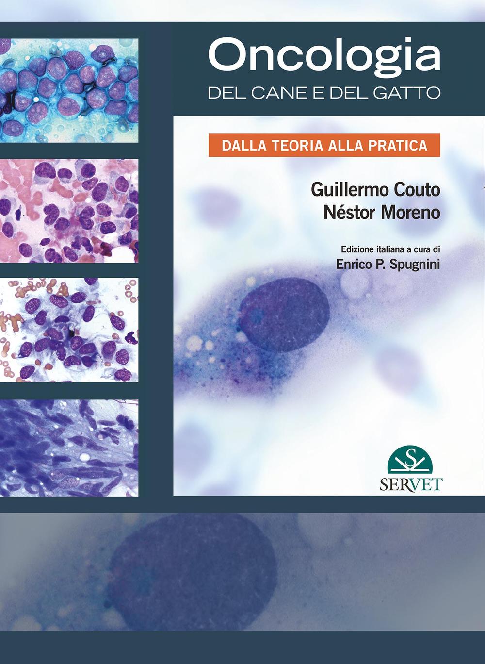 Oncologia del cane e del gatto. Dalla teoria alla pratica