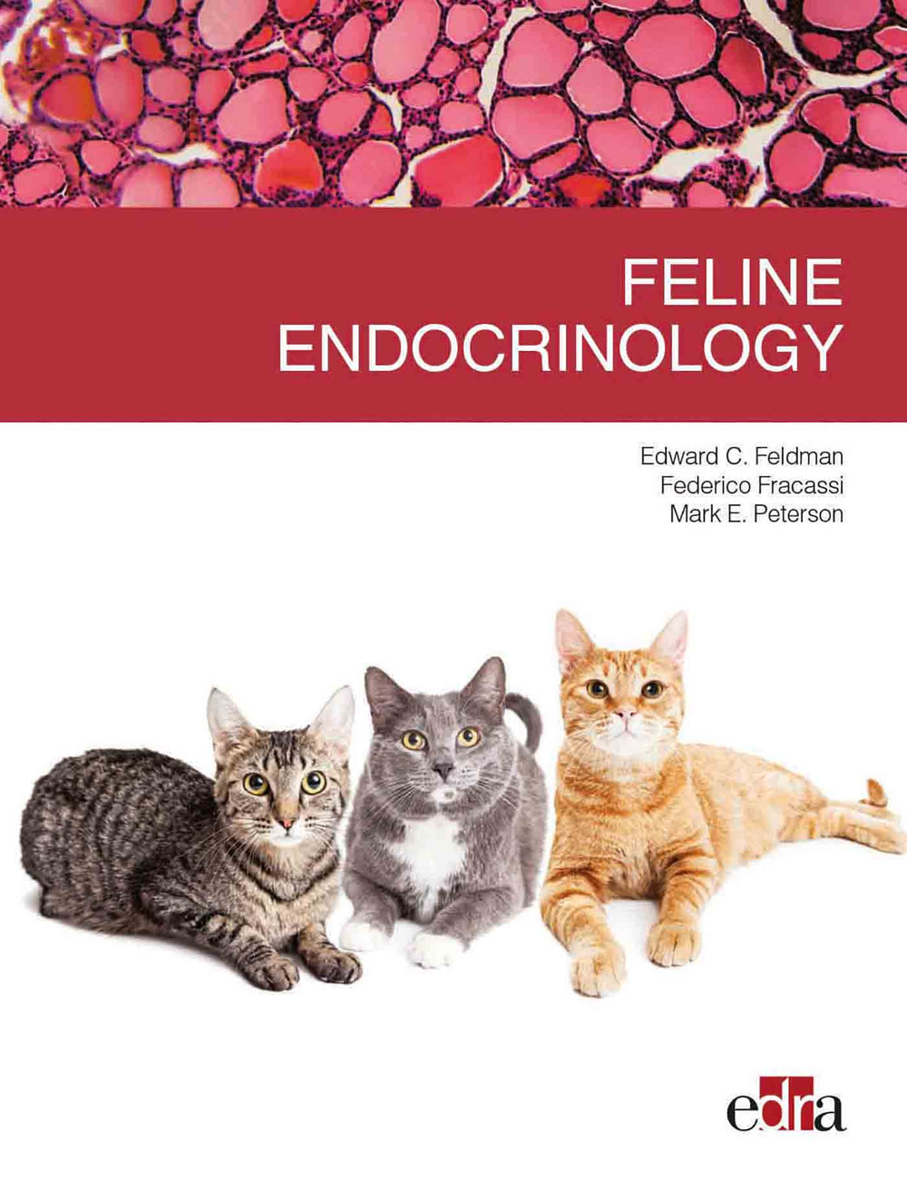 Feline endocrinology