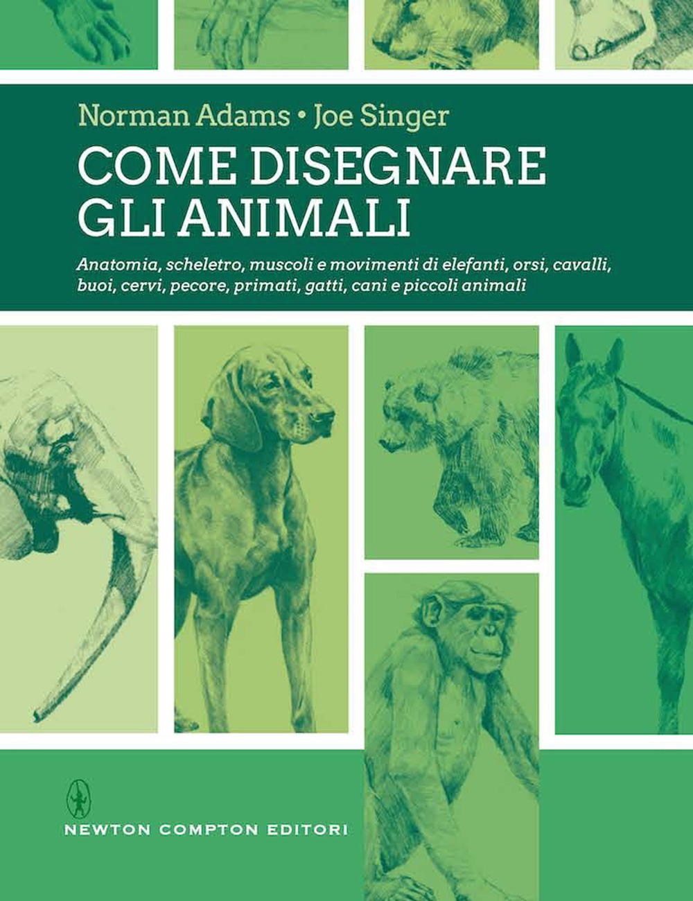 Come disegnare gli animali