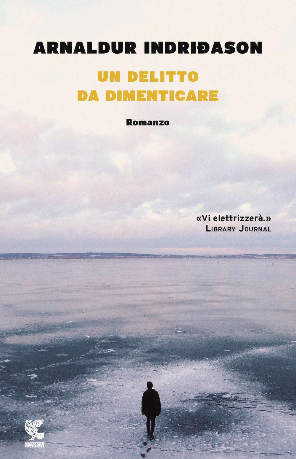 Un delitto da dimenticare. I casi dell'ispettore Erlendur Sveinsson. Vol. 13