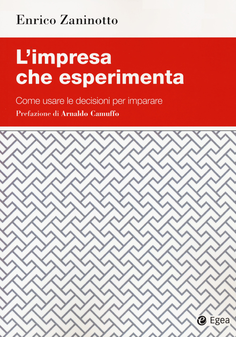 L'impresa che esperimenta. Come usare le decisioni per imparare