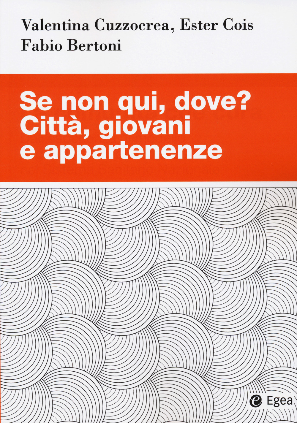 Se non qui, dove? Città, giovani e appartenenze