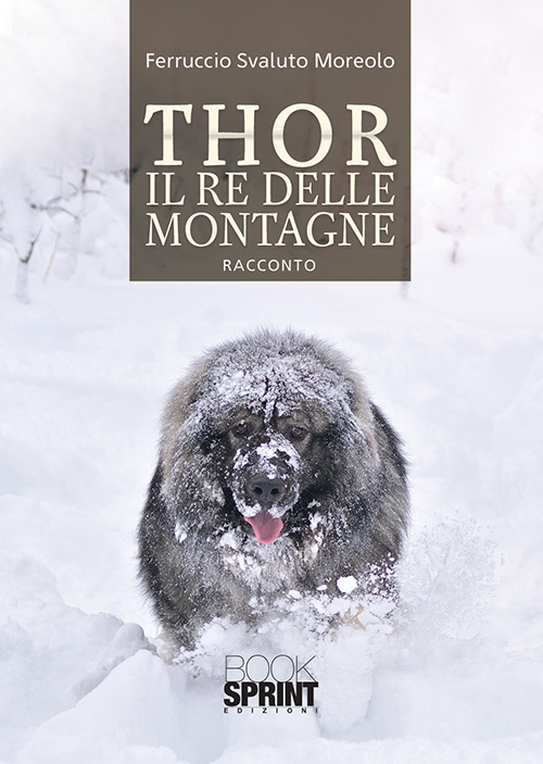 Thor il re delle montagne