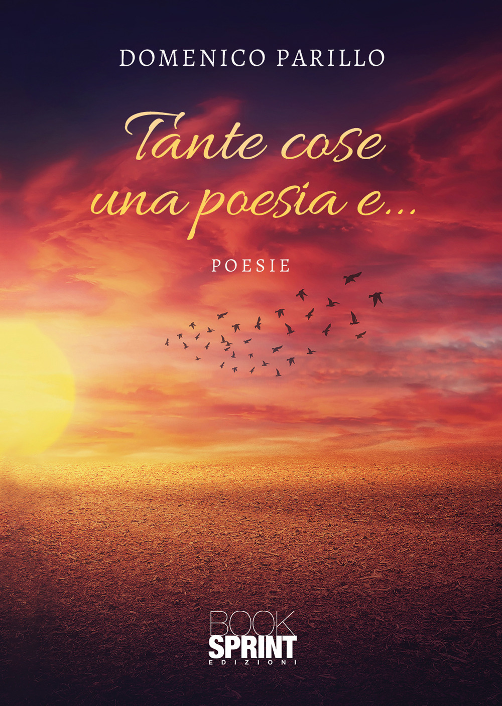 Tante cose una poesia e...