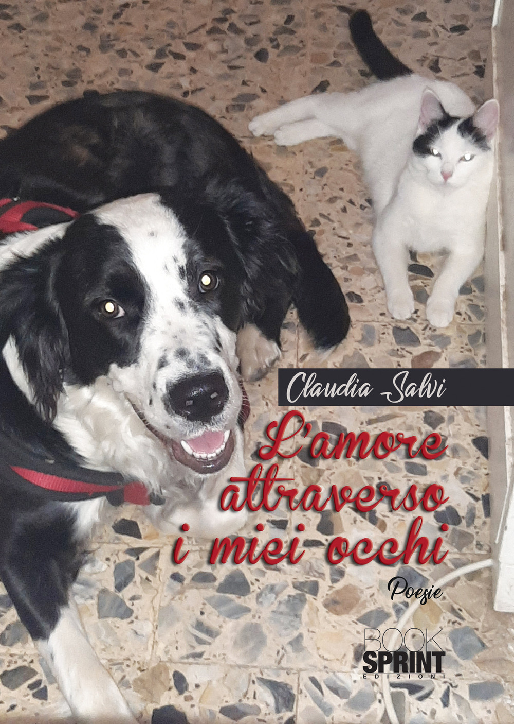 L'amore attraverso i miei occhi