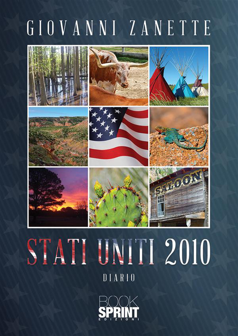 Stati Uniti 2010