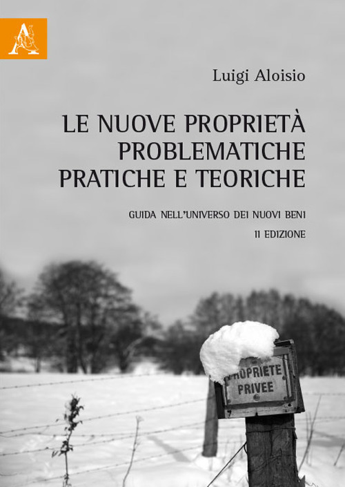 Le nuove proprietà, problematiche pratiche e teoriche. Guida nell'universo dei nuovi beni