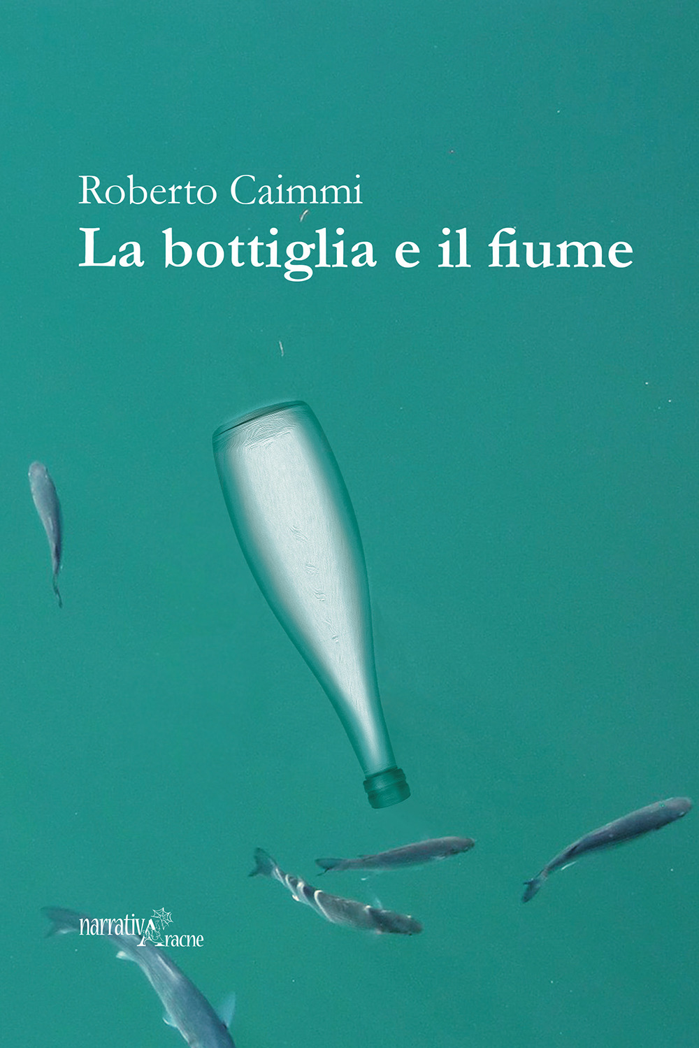 La bottiglia e il fiume