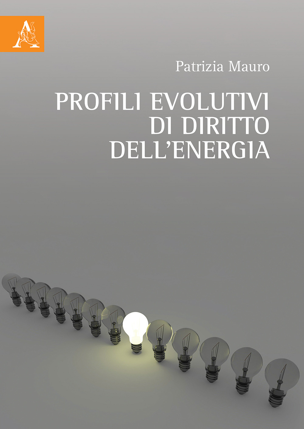 Profili evolutivi di diritto dell'energia