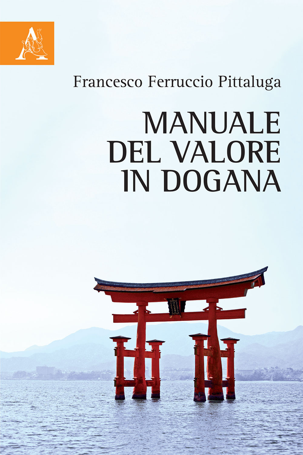 Manuale del valore in dogana