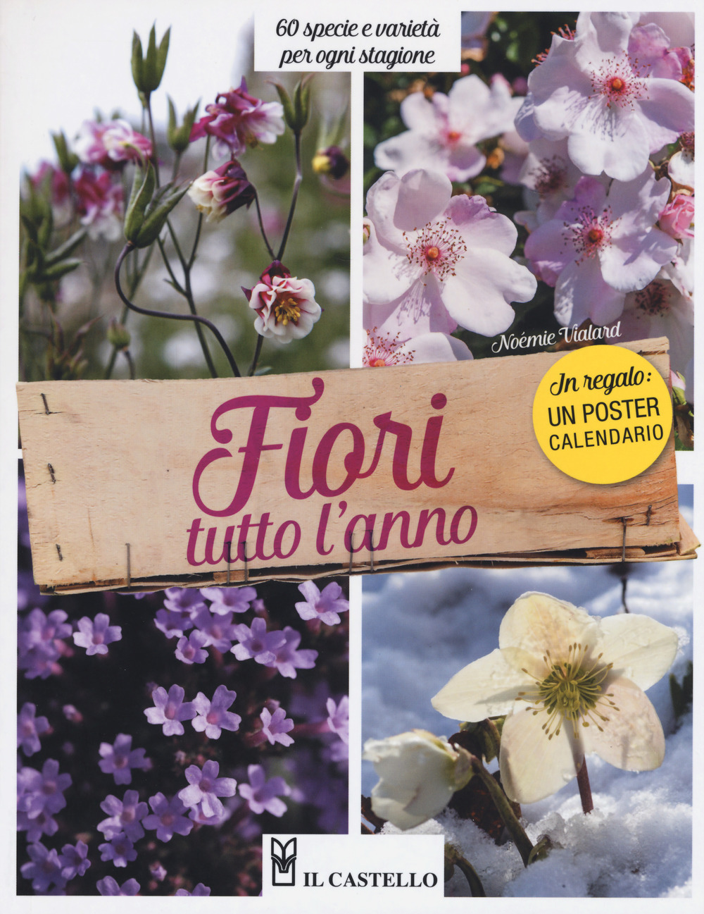 Fiori tutto l'anno. 60 specie e varietà per ogni stagione