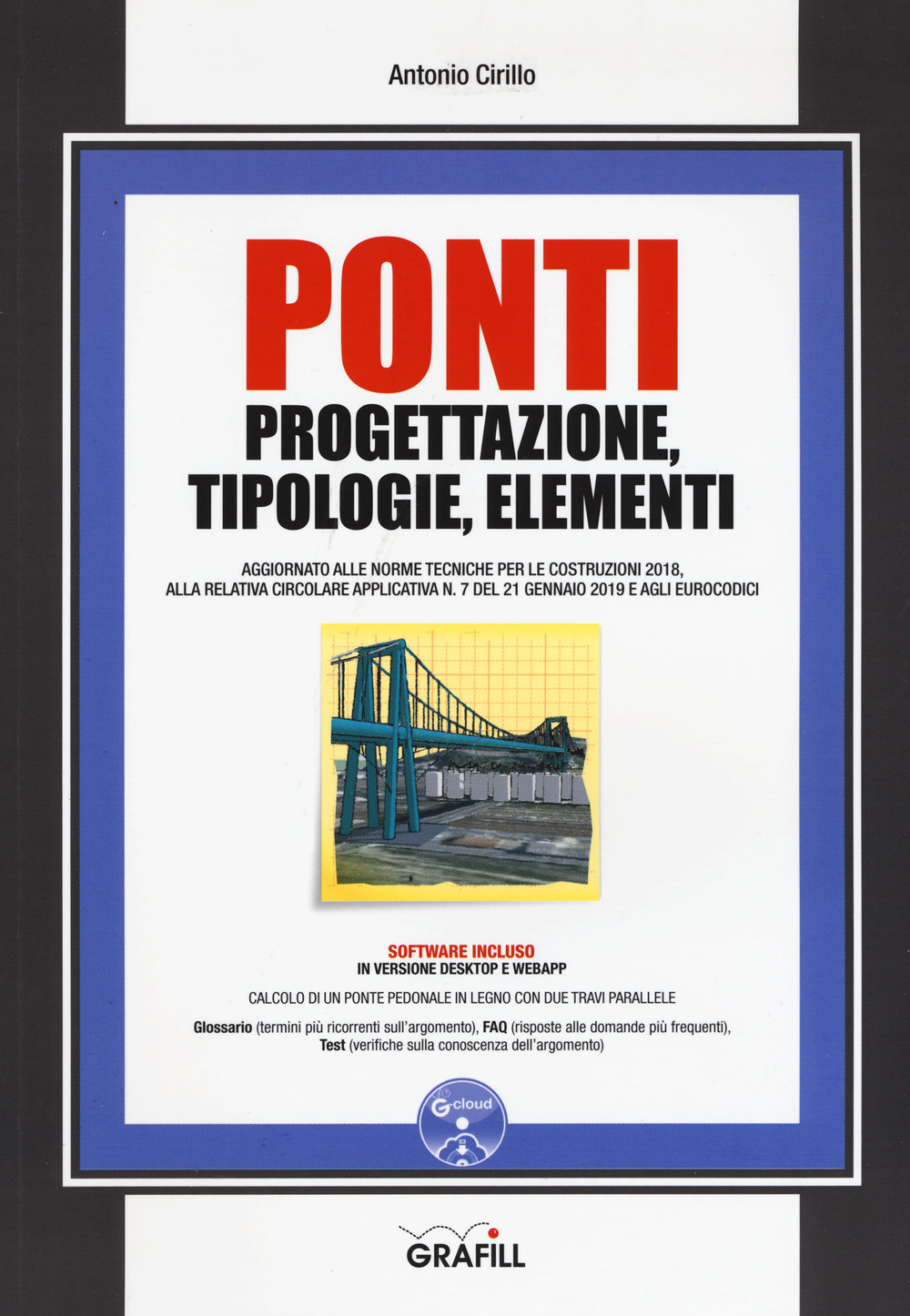 Ponti. Progettazione, tipologie, elementi. Con software