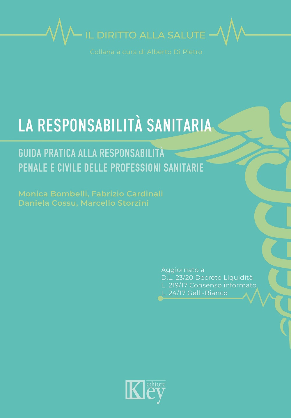 La responsabilità sanitaria. Guida pratica alla responsabilità penale e civile delle professioni sanitarie