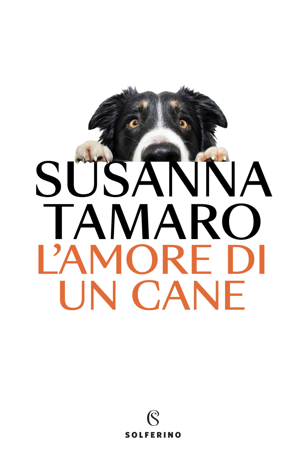 L'amore di un cane