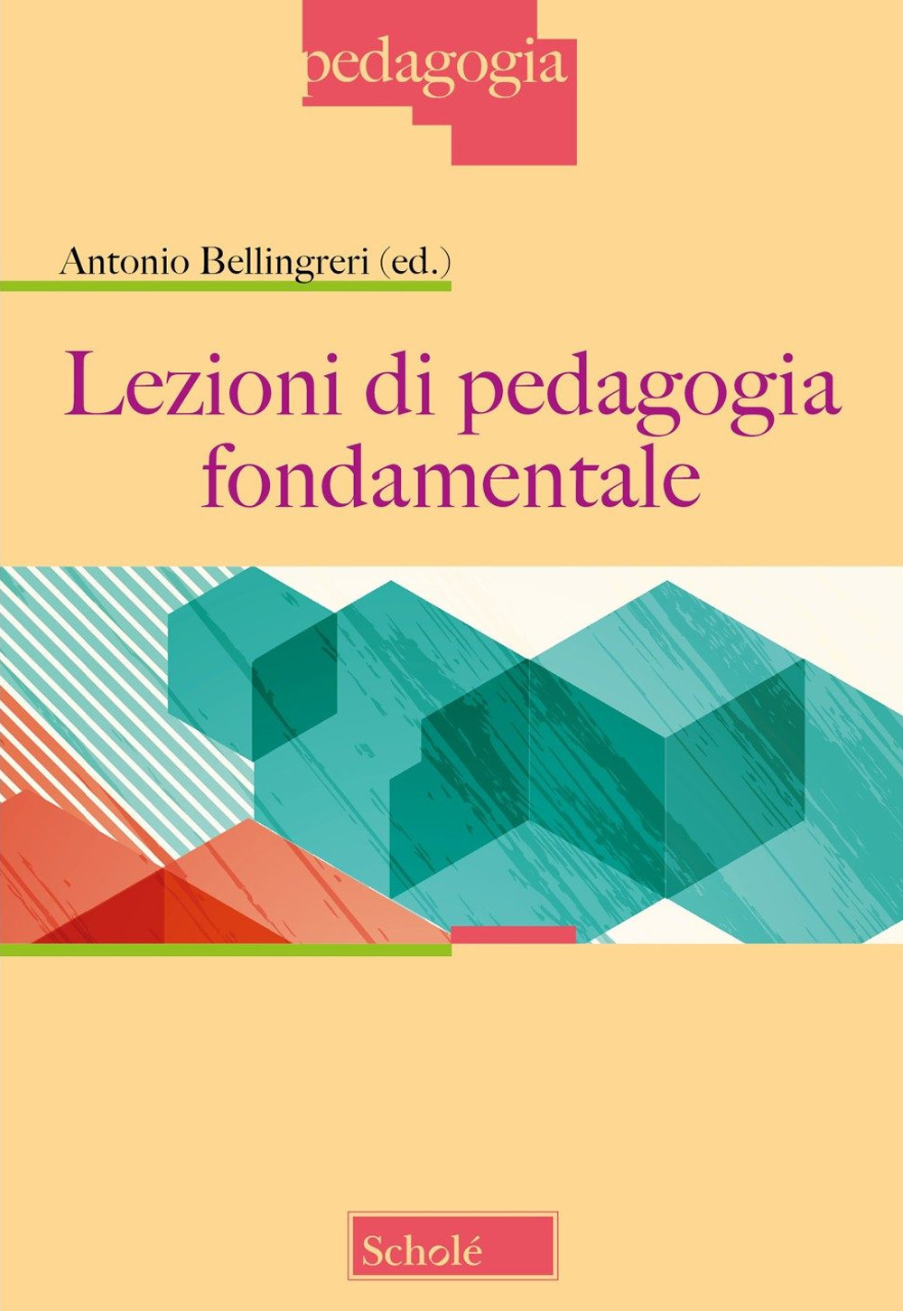 Lezioni di pedagogia fondamentale. Nuova ediz.