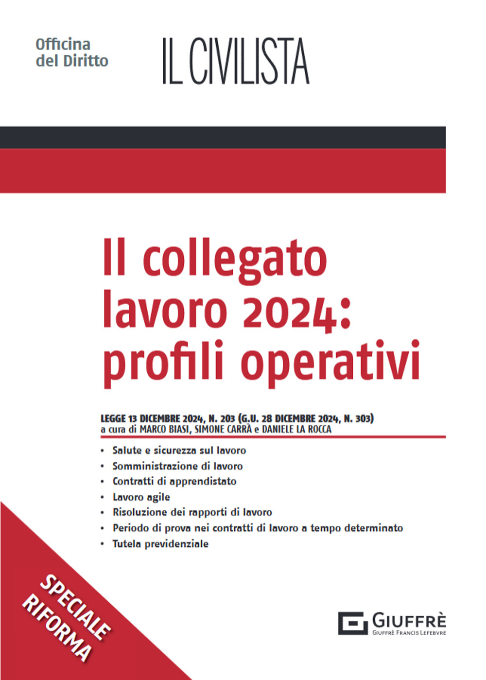 Il collegato lavoro 2024: profili operativi