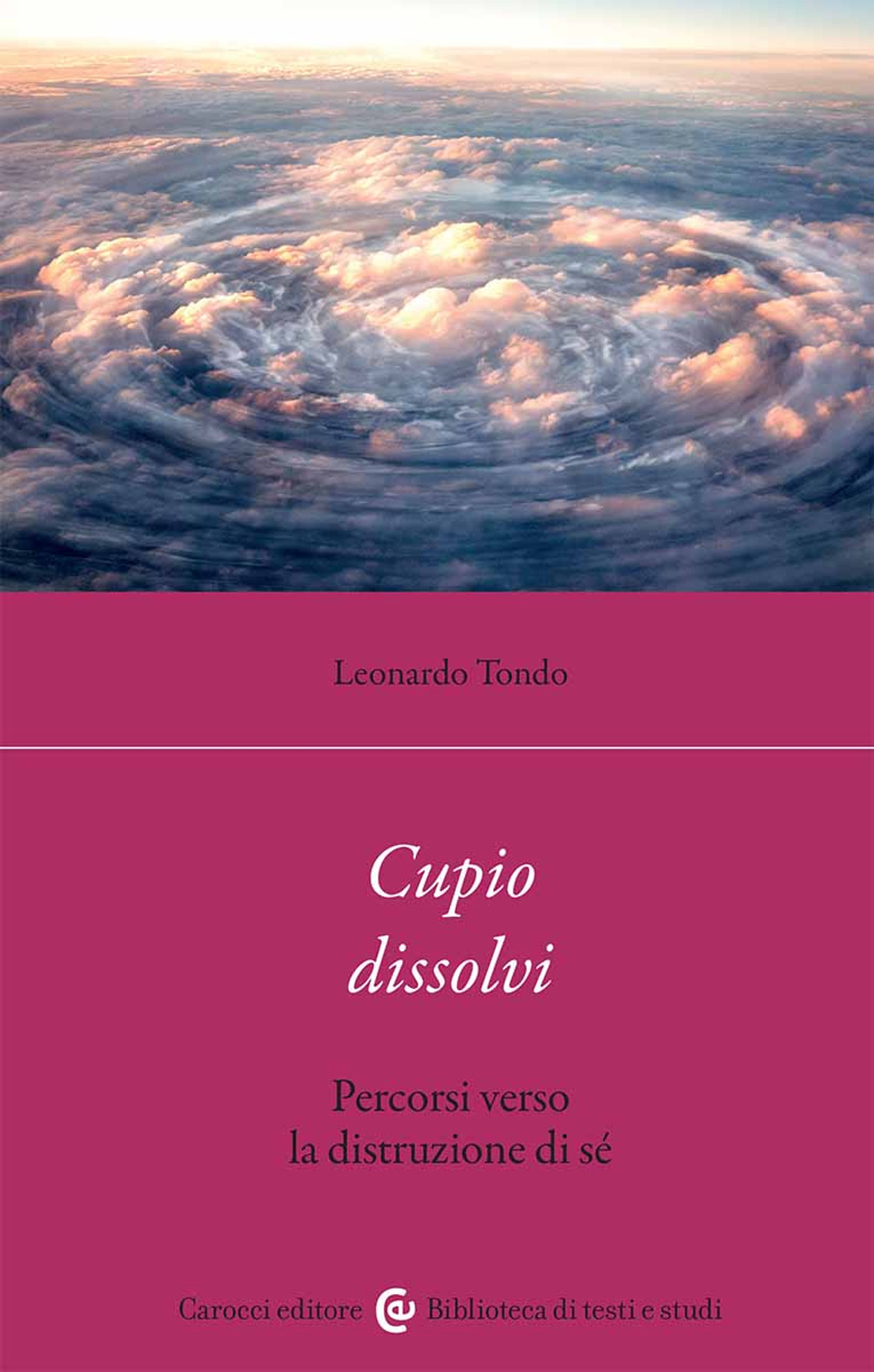 Cupio dissolvi. Percorsi verso la distruzione di sé