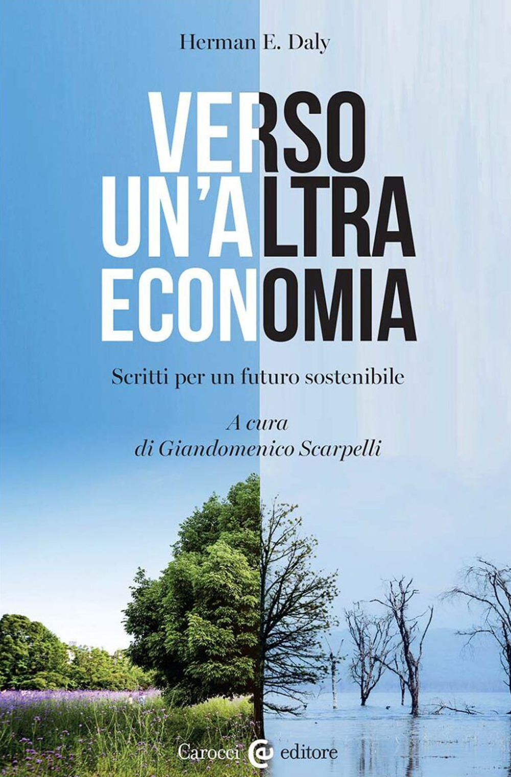 Verso un'altra economia. Scritti per un futuro sostenibile