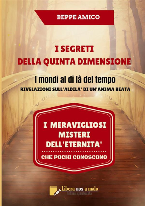 I segreti della quinta dimensione. I mondi al di là del tempo. Rivelazioni sull'aldilà di un'anima beata. I meravigliosi misteri dell'eternità che pochi conoscono