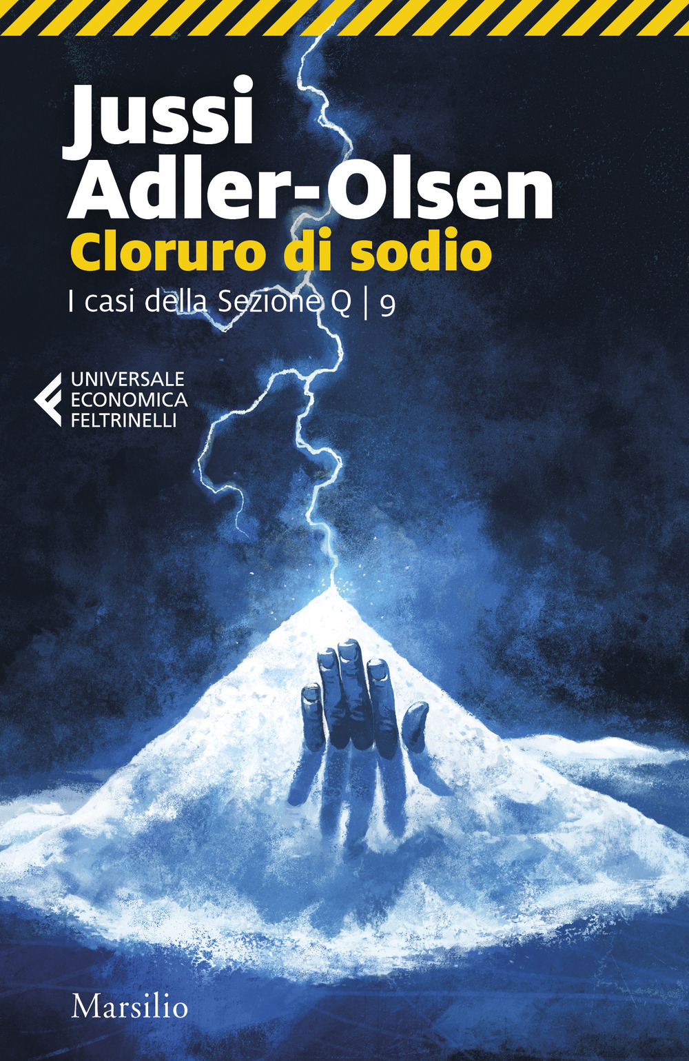 Cloruro di sodio. I casi della sezione Q. Vol. 9