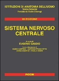 Sistema nervoso centrale