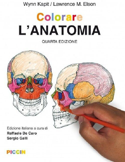 Colorare l'anatomia