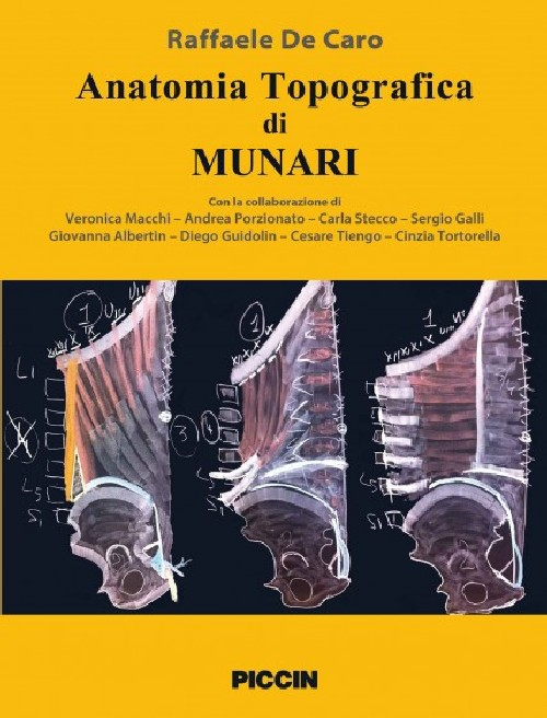 Anatomia topografica dei Munari