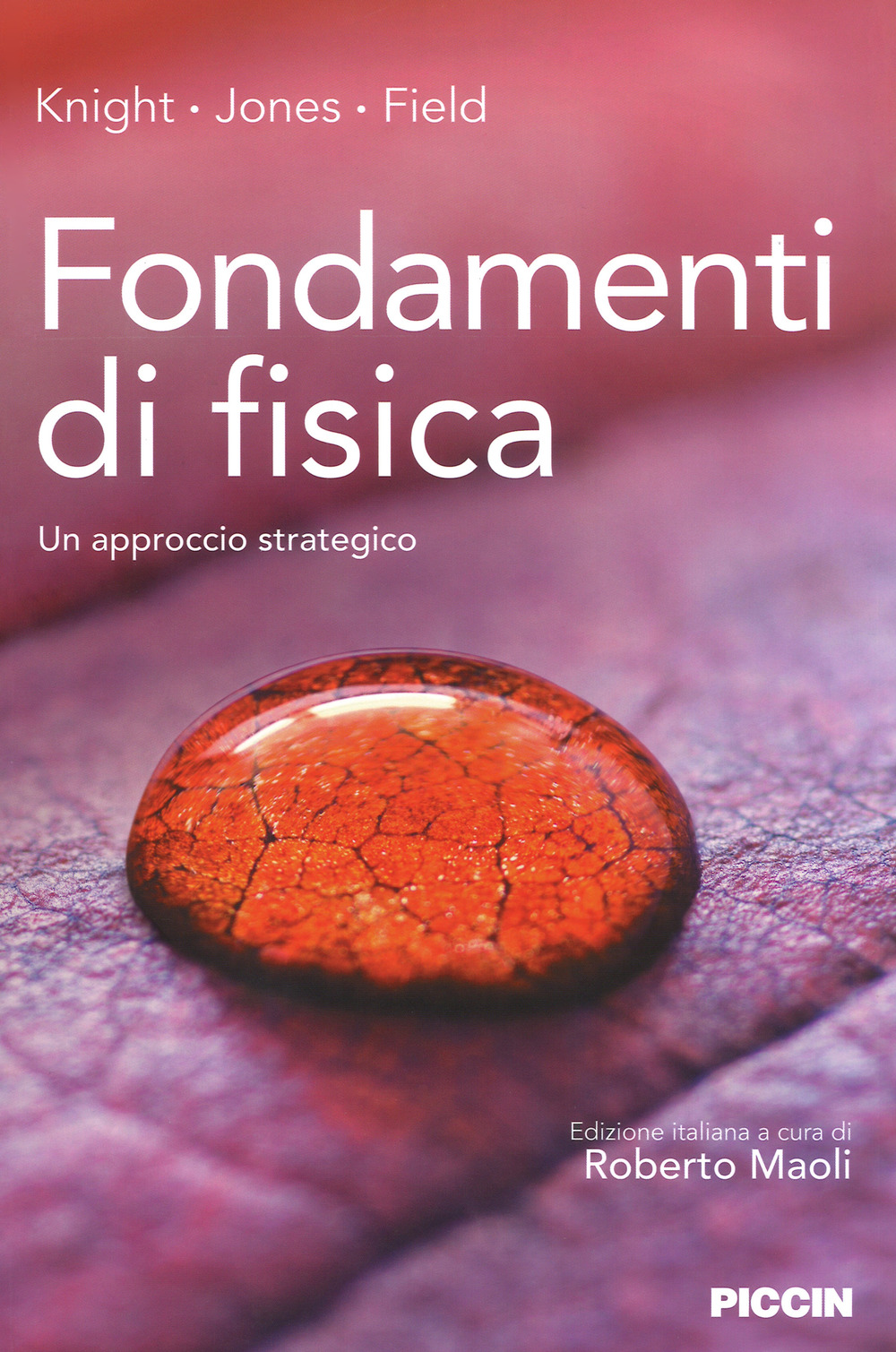 Fondamenti di fisica. Un approccio strategico