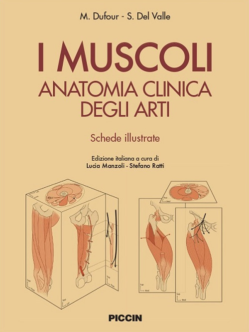 I muscoli. Anatomia clinica degli arti. Shede illustrate