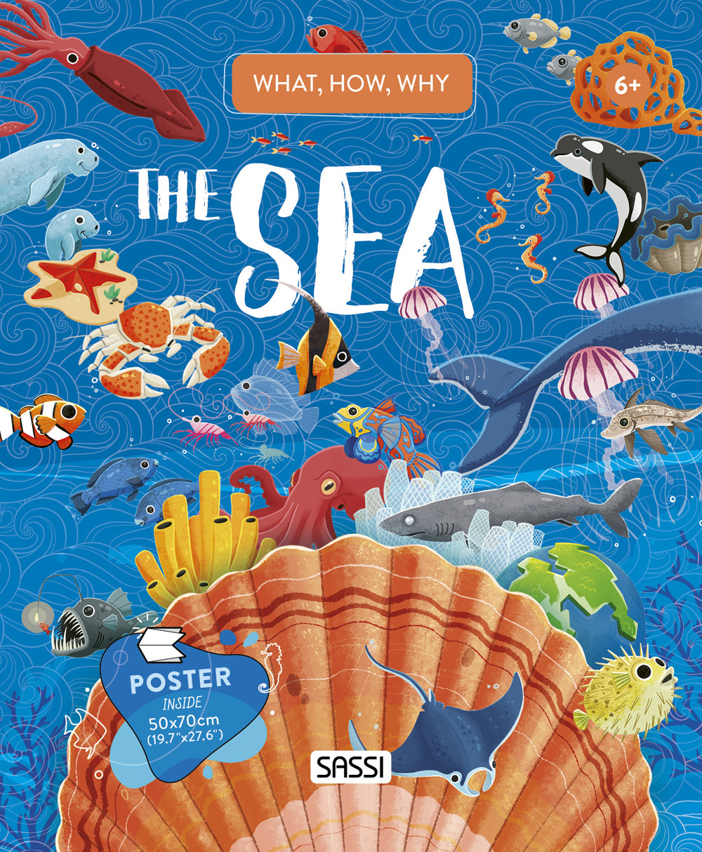 The sea. What, how, why. Con Poster