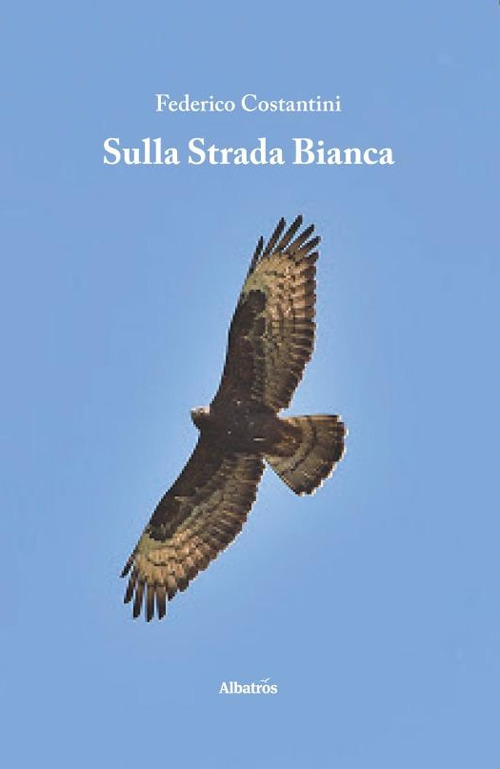 Sulla strada bianca