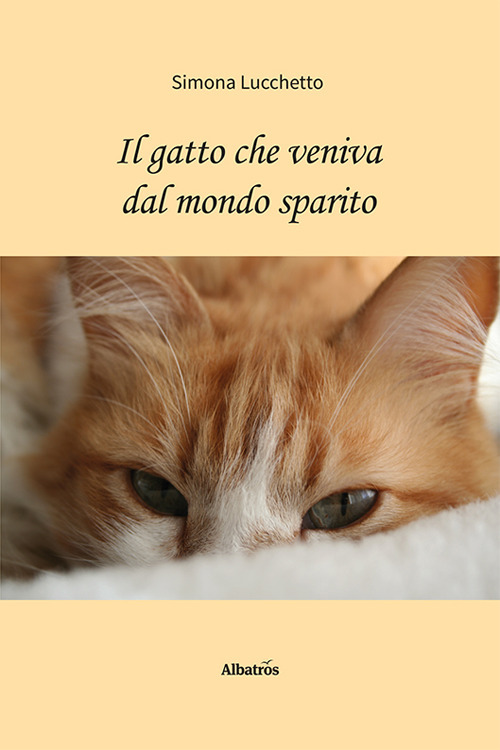 Il gatto che veniva dal mondo sparito