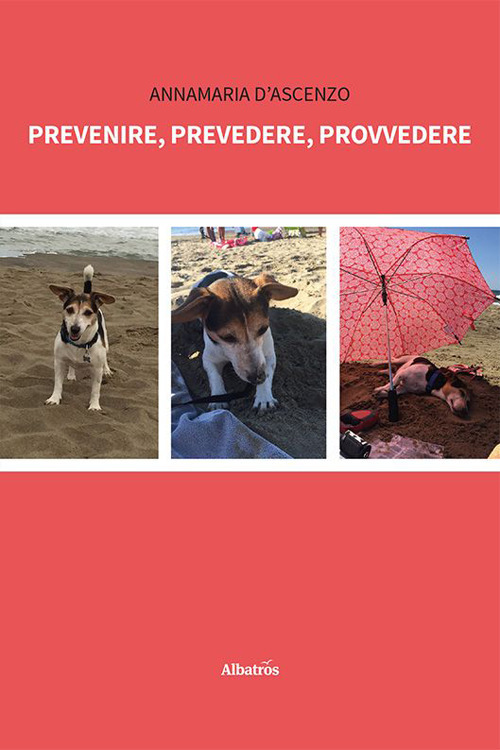 Prevenire, prevedere, provvedere