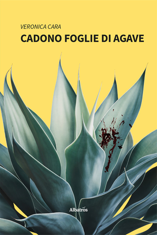 Cadono foglie di agave